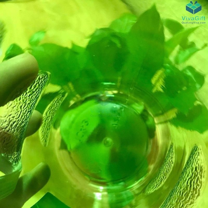 Bình nước thể thao Beihe 720ml Q010 làm quà tặng
