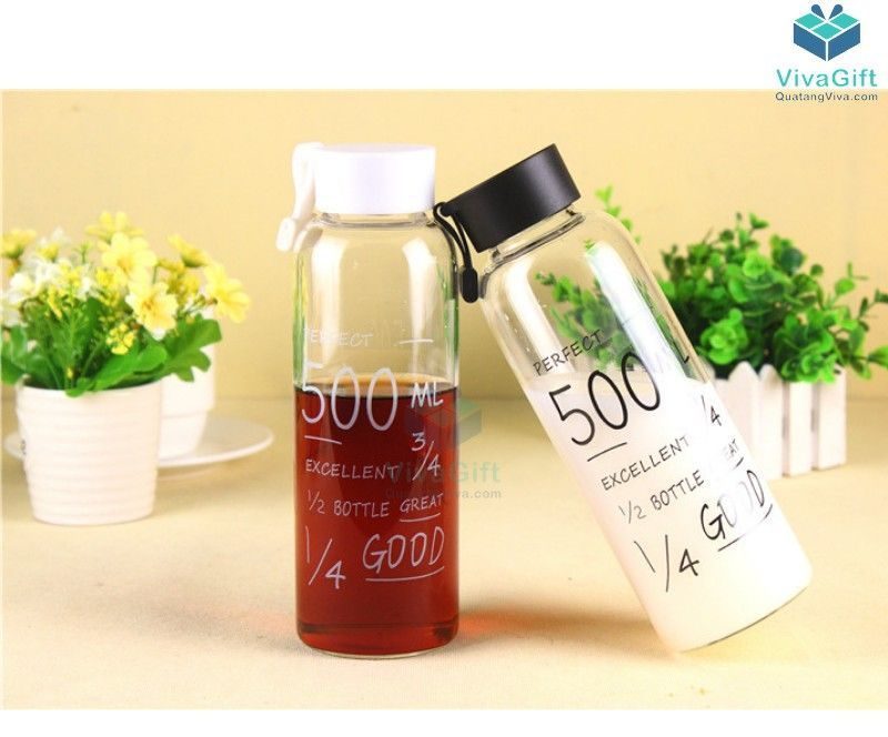 Bình nước nhựa 500ml có quai Q011