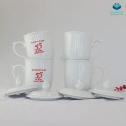 coc-su-minh-long-03l-3