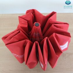 du-cam-tay-gap-3-tu-dong-2-chieu-10-keo-r58cm-d041-3