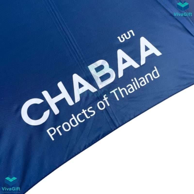 o-du-can-nhua-cong-tu-dong-1-chieu-d052-1