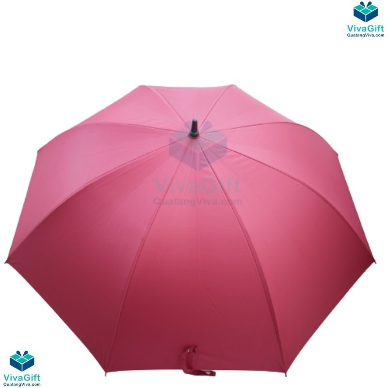 o-du-thang-poly-can-nhua-ma-kim-d047-r75cm-8-keo-1