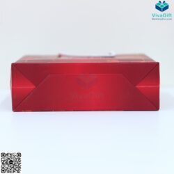 Túi Giấy Couche Đựng Hộp Quà Tặng Có Quai Xách TG05-3 In Logo OffsetIMG_1266