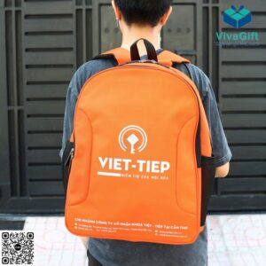 Balo Cho Học Sinh Cấp 2 In Logo Việt Tiệp Làm Quà Tặng BL122 11
