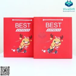 tui-giay-couche-quai-xach-dung-set-qua-tang-tg05-6-6