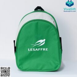 Balo Học Sinh Cấp 1 Màu Xanh BL137 In Logo – Quatangviva.com