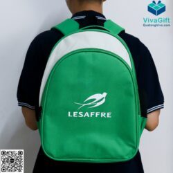 Balo Học Sinh Cấp 1 Màu Xanh BL137 In Logo – Quatangviva.com