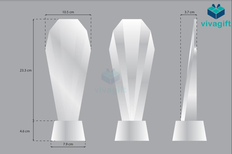 Cup Vinh Danh Pha Lê CVD-P202 1