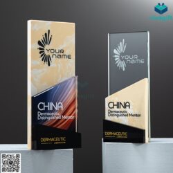 Cup Vinh Danh Pha Lê Màu CVD-P205 – Quatangviva.com