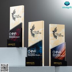 Cup Vinh Danh Pha Lê Màu CVD-P205 – Quatangviva.com
