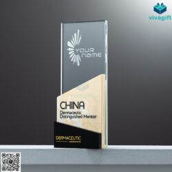 Cup Vinh Danh Pha Lê Màu CVD-P205 – Quatangviva.com