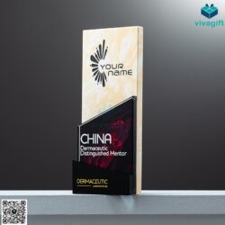 Cup Vinh Danh Pha Lê Màu CVD-P205 – Quatangviva.com