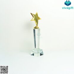 Cup Vinh Danh Pha Lê Ngôi Sao CVD-P204 – Quatangviva.com