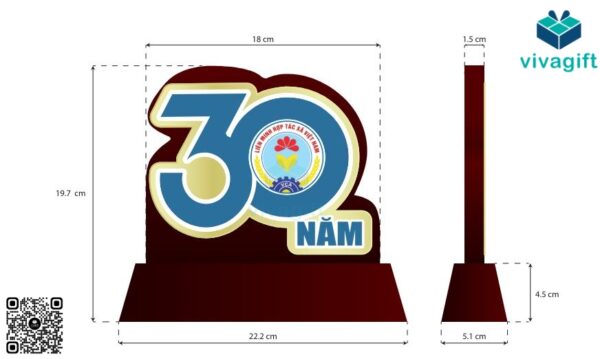 Kỷ Niệm Chương Gỗ Đồng Số 30 Năm KN-D306 7