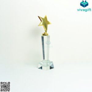 Kỷ Niệm Chương Pha Lê Ngôi Sao KN-P215 3