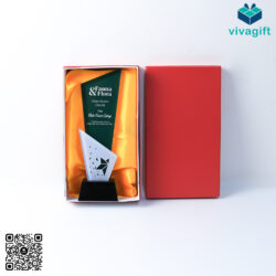 Kỷ Niệm Chương Pha Lê KN-P216 – Quatangviva.com